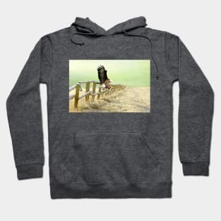 The Bald Eagle is Landing Hoodie